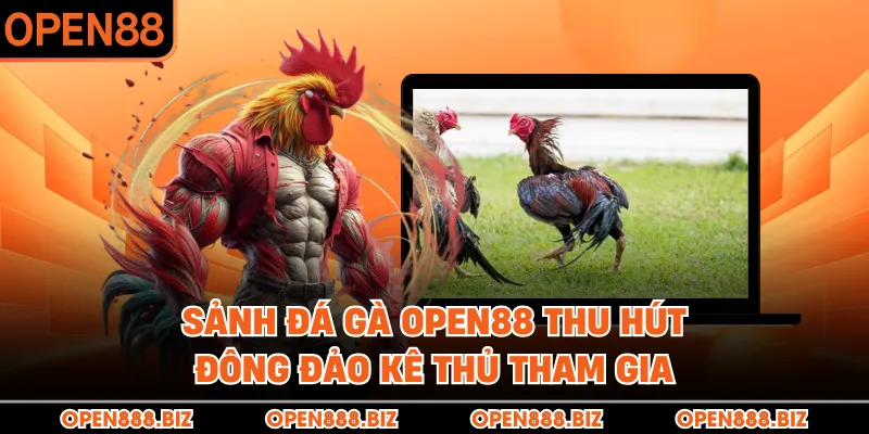 Sảnh đá gà OPEN88 thu hút đông đảo kê thủ tham gia